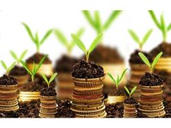 جهاد کشاورزی_تسهیلات کشاورزی بابلسر