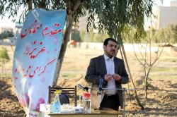 مراتع کشور در حال بیابانی شدن است