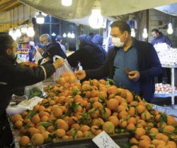 میوه و تره بار 