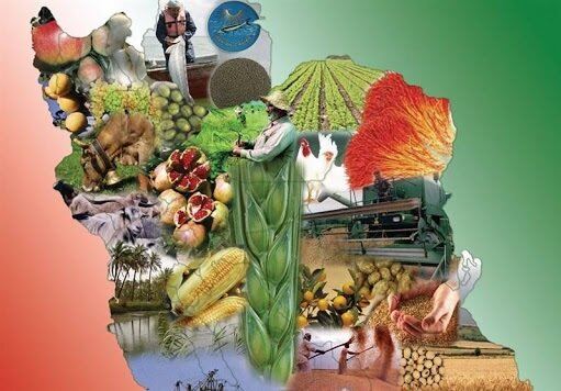 صنایع غذایی 