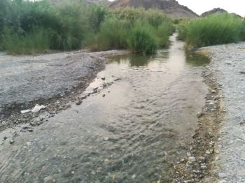 آب رودخانه ای