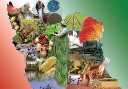 صنایع غذایی 