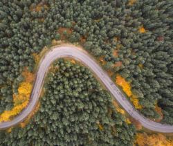 پایش هوایی جنگل 