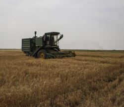  افزایش ۱۰۰ درصدی قیمت خرید تضمینی گندم