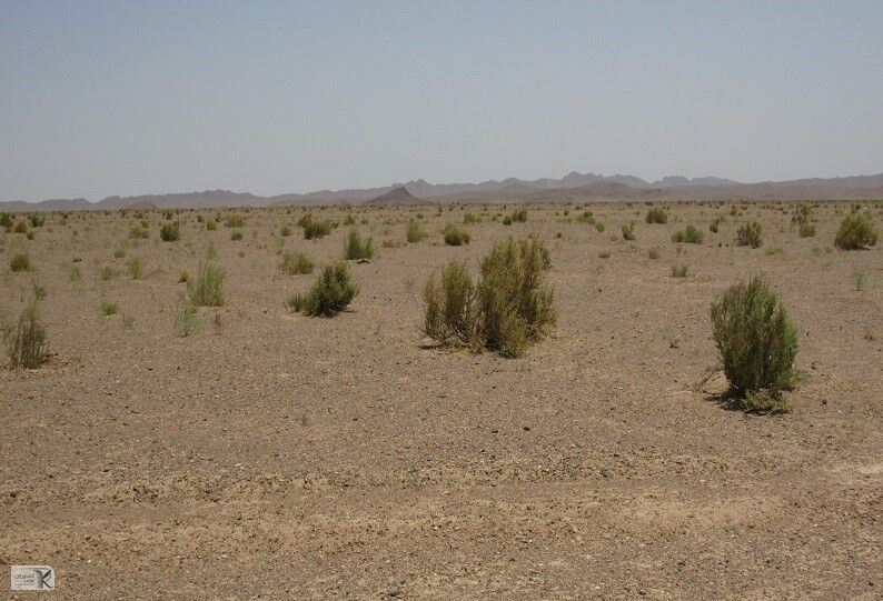 طرح ترسیب کربن در ۸ روستای نهبندان در دست اجرا است