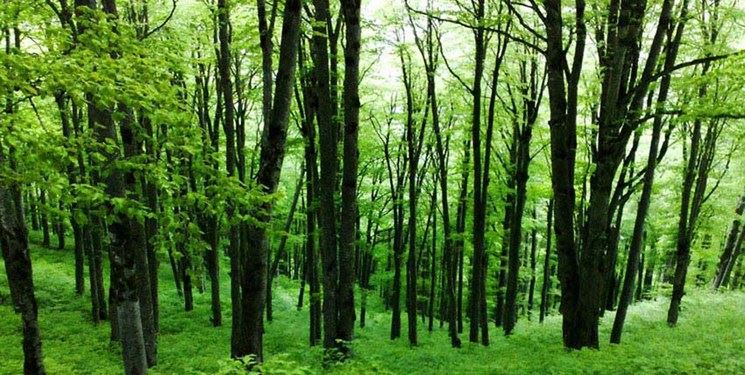  طرح کاداستر اراضی ملی تا آخر امسال نهایی می شود و اراضی ملی از اراضی شخصی کاملا تفکیک خواهد شد.
