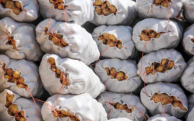 وضع نابسامان بازار سیب‌زمینی و تداوم زیان کشاورزان اردبیلی