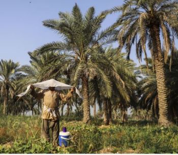 بیمه آتش سوزی 