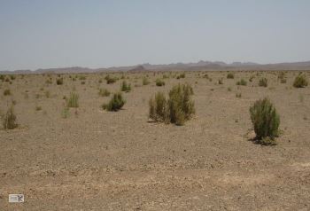 طرح ترسیب کربن در ۸ روستای نهبندان در دست اجرا است