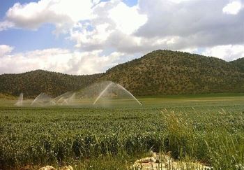 دشت 