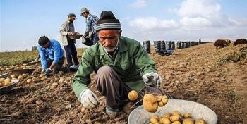 سه اشتباه دولت روحانی در بخش کشاورزی/ چه کسی مسئول سرمایه‌های ازدست رفته است؟
