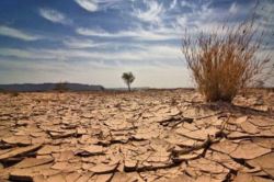 فرسایش خاک منطقه ترشیز در خراسان رضوی پنج برابر می‌شود