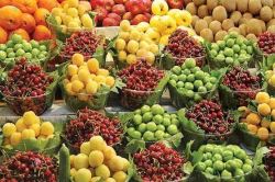 میوه نوبرانه 
