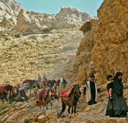 آغاز کوچ ییلاقی عشایر استان تهران