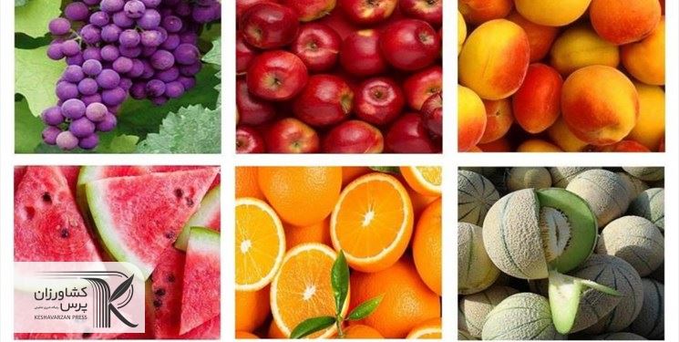 تغییرات ساختاری گسترده بخش کشاورزی در طرح امنیت غذایی