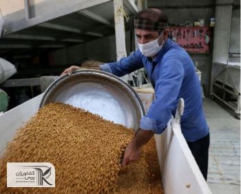«شتاب نخود» رویدادی برای ایجاد ارزش افزوده نخود کرمانشاه
