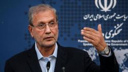 توضیح سخنگوی دولت درباره کمبود جوجه یک روزه