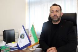 مجتبی عالی