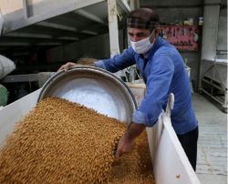 «شتاب نخود» رویدادی برای ایجاد ارزش افزوده نخود کرمانشاه
