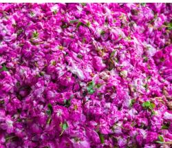  ارزش هر تن محصولات کشاورزی و غذایی صادراتی بالای ۲ هزار دلار است