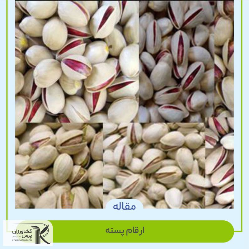 انواع پسته و ارقام آن درایران  