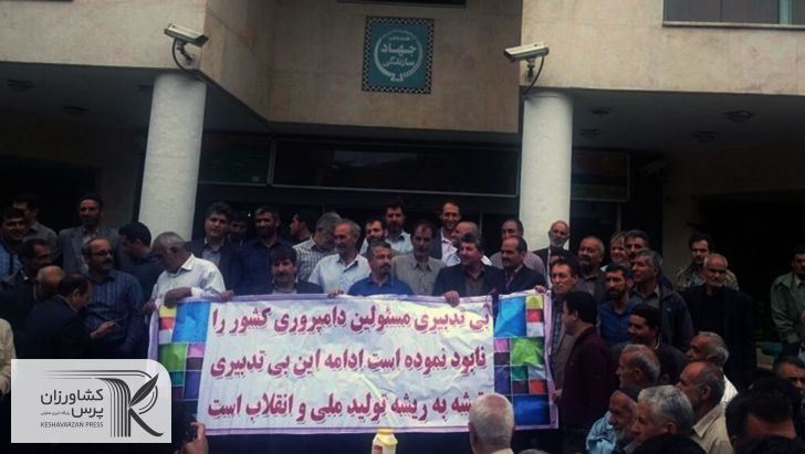 «نهاده دامی»دغدغه تولیدکنندگان