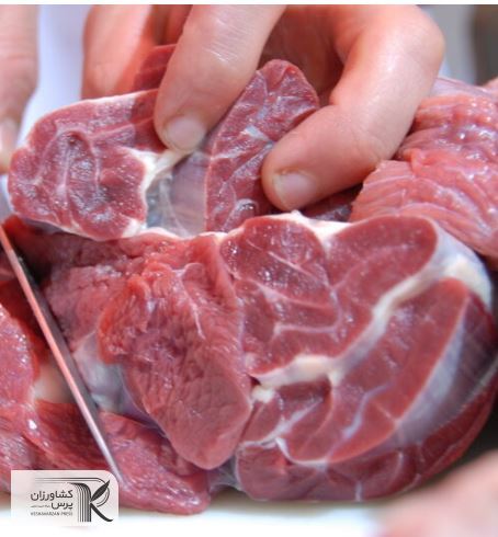 گوشت قرمز