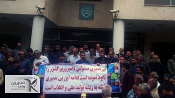 «نهاده دامی»دغدغه تولیدکنندگان