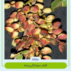 آفتاب سوختگی
