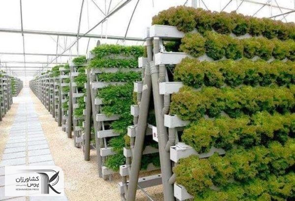 ارتقای قابلیت صادراتی محصولات کشاورزی با نانو اکسیژن