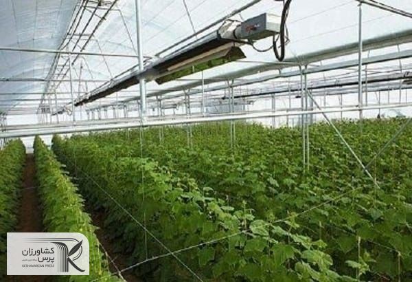  برنامه ریزی برای حمایت از سرمایه گذاران برای ایجاد واحد های بزرگ و تجاری گلخانه ای