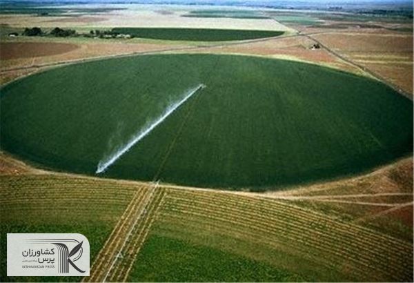 دایره‌هایی حاصلخیز در دل بیابان