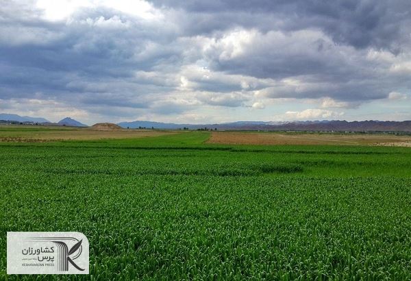 شکوفایی ظرفیت‌های کشاورزی گلستان حمایتهای دولت جهادی را می‌طلبد