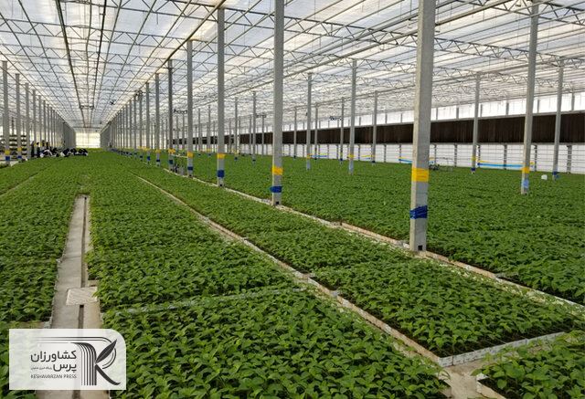 طراحی حسگر رطوبتی با کاربرد در گلخانه ها