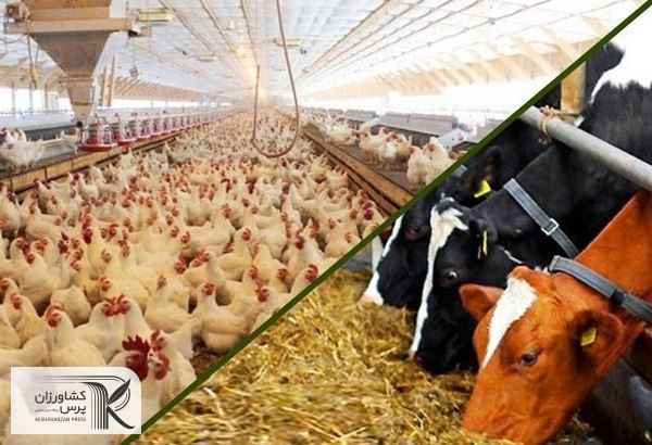 سه عامل افزایش قیمت کالاهای اساسی