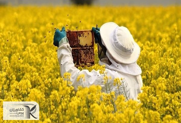 تولید سالانه ۱۱۵ هزار تن عسل در کشور