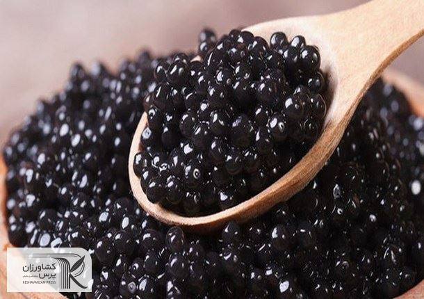 صادرات ۵.۵ تن خاویار به ۳۳ کشور جهان 