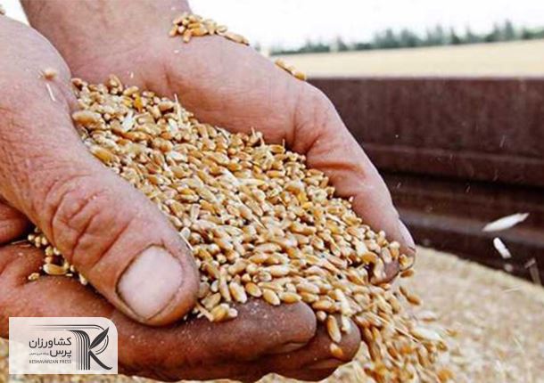 ذخایر گندم آمریکا به کمترین میزان 20 سال گذشته رسید