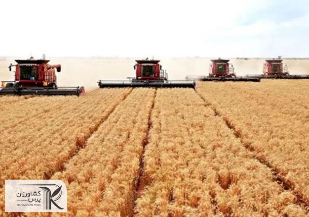 اوکراین: کشت گندم و جو را تا 30 درصد کاهش می‌‌دهیم