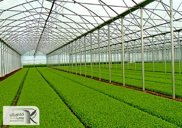 کشت گلخانه ای باید توسعه پیدا کند و این به نفع گلستان است