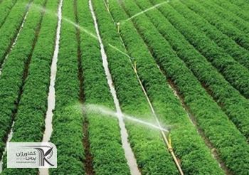اجرای طرح الگوی کشت‌ و کشاورزی قراردادی در هفته جاری‌