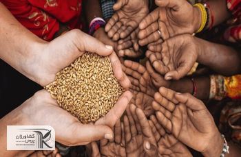 سه راهکا‌ر برای مقابله با تداوم رشد‌ قیمت‌های جهانی غذا و بحران غذایی‌