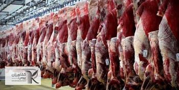 ۲۵ درصد گوشت قرمز کشور را عشایر تولید می کنند