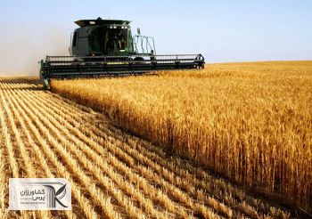 تولید تاریخی غلات در روسیه