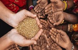 سه راهکا‌ر برای مقابله با تداوم رشد‌ قیمت‌های جهانی غذا و بحران غذایی‌