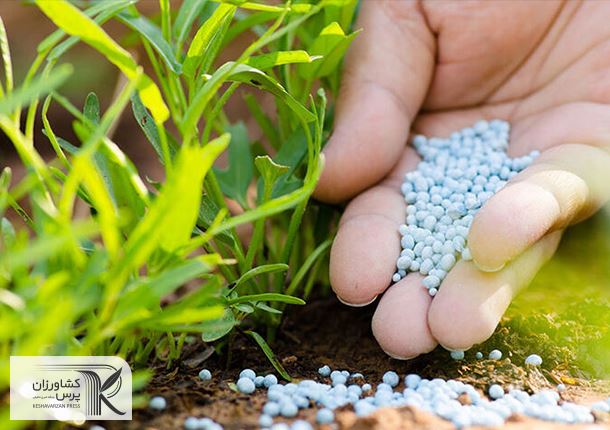 افزایش صادرات کود شیمیایی روسیه