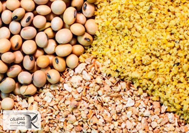 مطالبه مرغداران بابت ساماندهی وضعیت تأمین نهاده‌