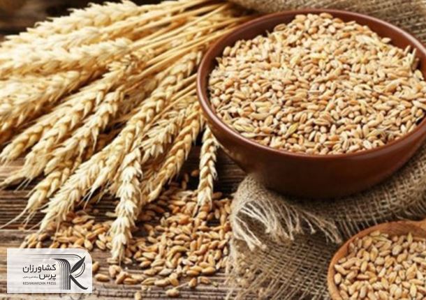 تداوم رشد قیمت کالاهای اساسی/ تب قیمت‌های جهانی کم می شود؟