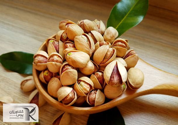 صادرات پسته ایران به اروپا ۹۵ میلیون یورو شد