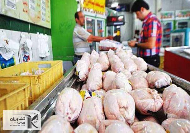 4 برنامه دولت برای ایجاد تعادل در بازار مرغ